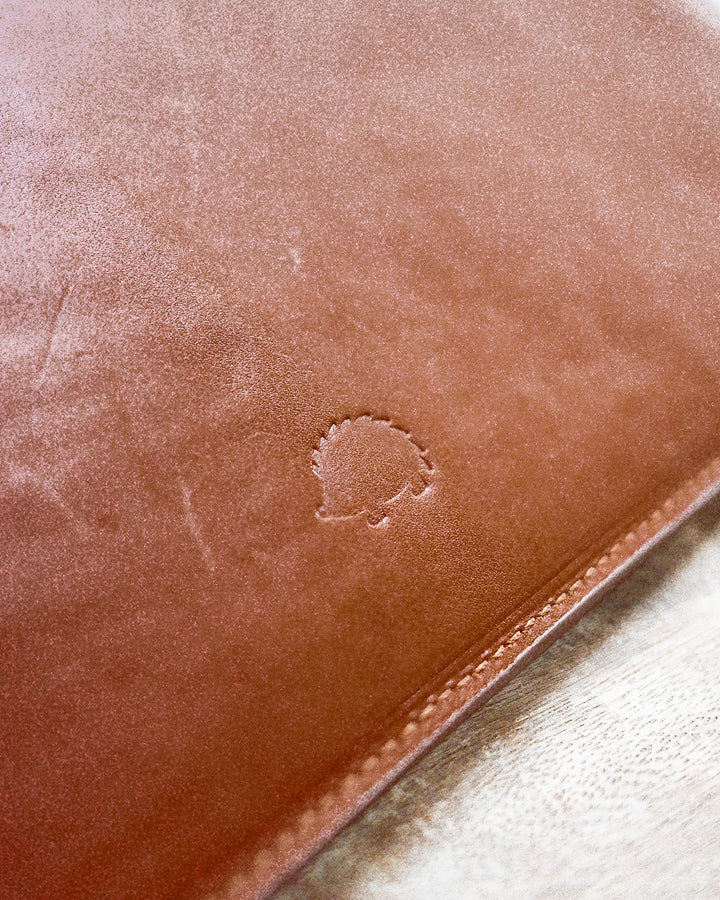 iPad Case